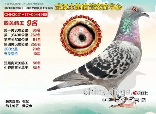 同乐城官网-关于国手高瞻远瞩，锁定目标稳夺冠军的信息