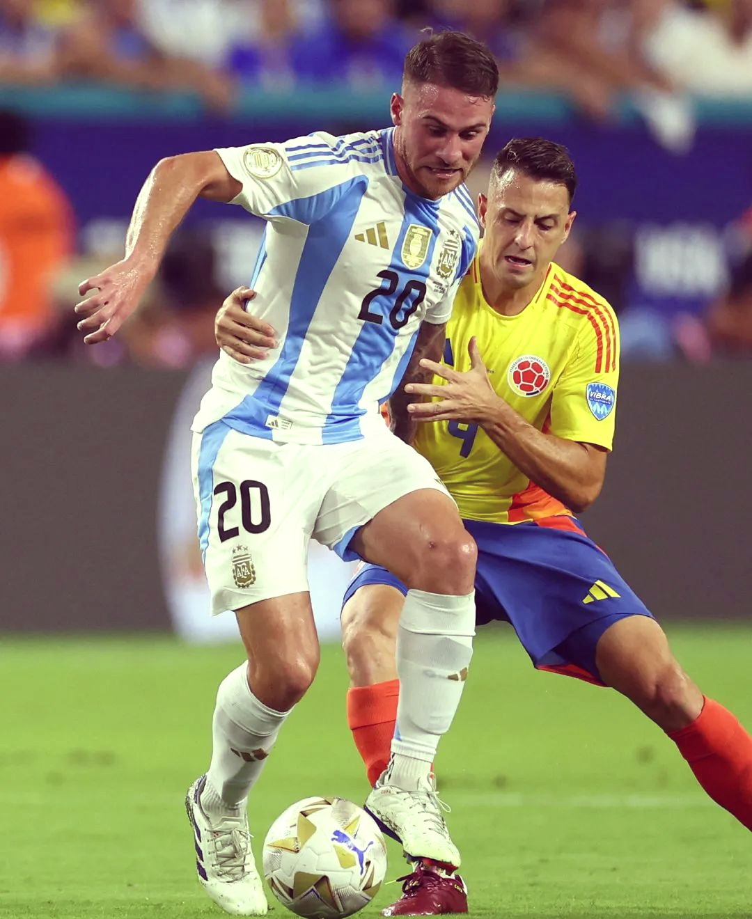 同乐城vip注册-关于美洲篮球锦标赛完成小组赛，阿根廷与委内瑞拉队晋级淘汰赛的信息