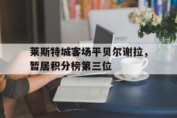 同乐城app-莱斯特城客场平贝尔谢拉，暂居积分榜第三位